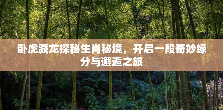 卧虎藏龙探秘生肖秘境，开启一段奇妙缘分与邂逅之旅