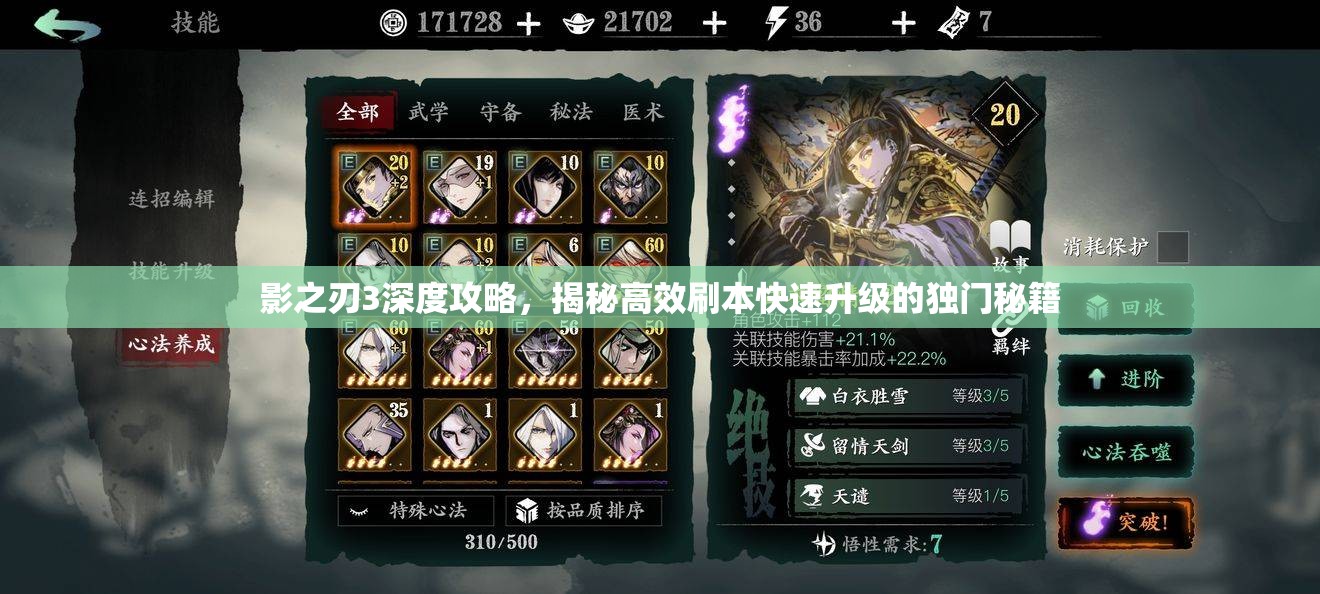 影之刃3深度攻略，揭秘高效刷本快速升级的独门秘籍