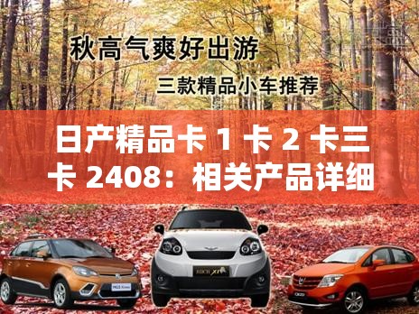 日产精品卡 1 卡 2 卡三卡 2408：相关产品详细介绍及特点分析