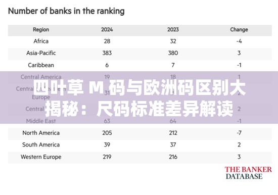 四叶草 M 码与欧洲码区别大揭秘：尺码标准差异解读