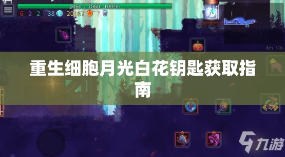 重生细胞月光白花钥匙获取指南