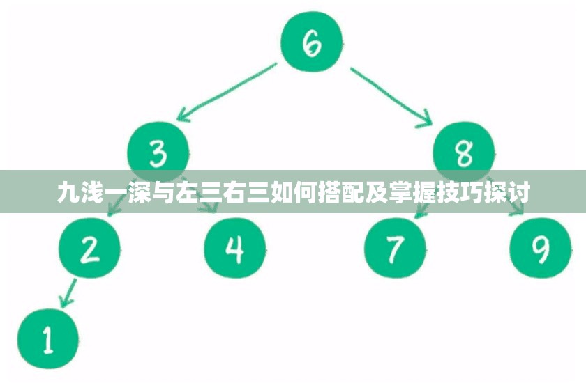九浅一深与左三右三如何搭配及掌握技巧探讨