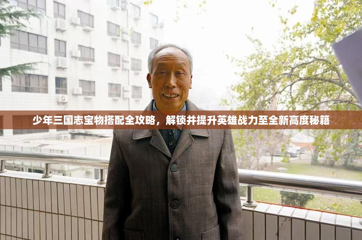 少年三国志宝物搭配全攻略，解锁并提升英雄战力至全新高度秘籍