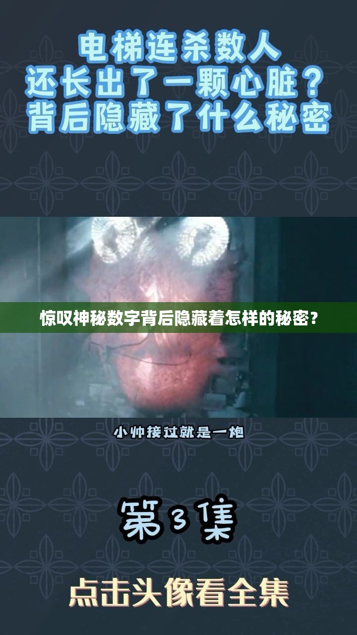 惊叹神秘数字背后隐藏着怎样的秘密？