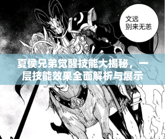 夏侯兄弟觉醒技能大揭秘，一层技能效果全面解析与展示