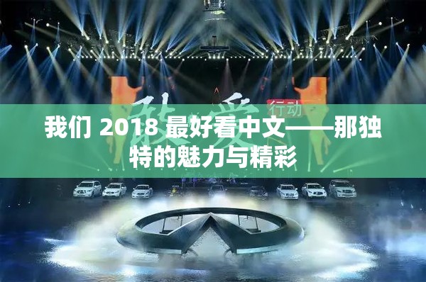 我们 2018 最好看中文——那独特的魅力与精彩