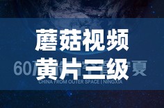 蘑菇视频黄片三级：一场视觉与心理的震撼之旅