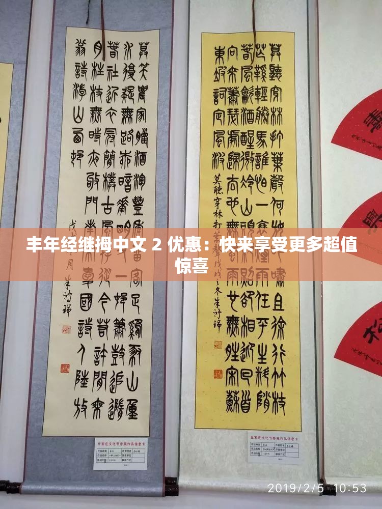 丰年经继拇中文 2 优惠：快来享受更多超值惊喜