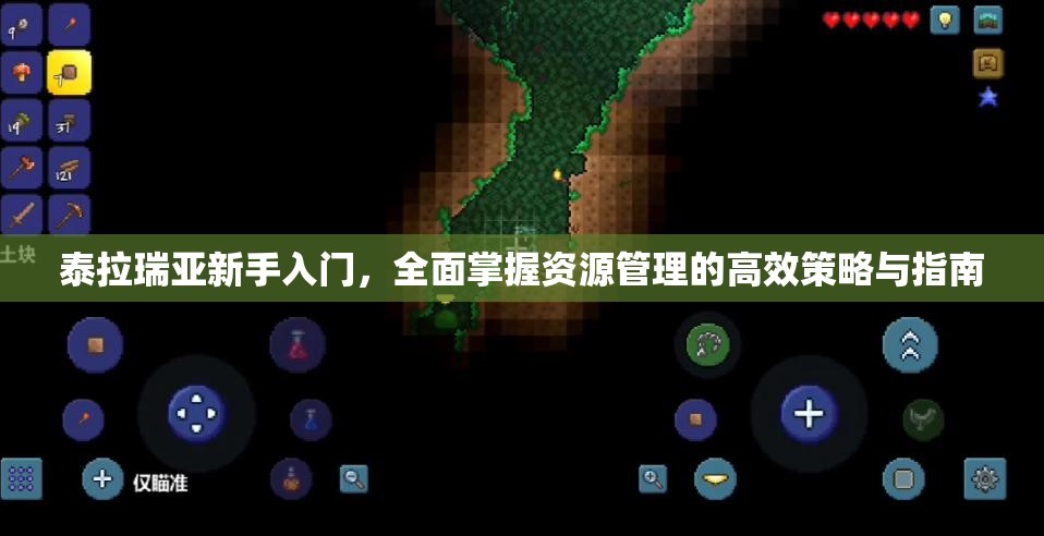 泰拉瑞亚新手入门，全面掌握资源管理的高效策略与指南