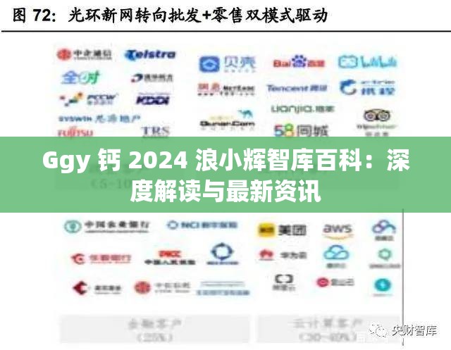 Ggy 钙 2024 浪小辉智库百科：深度解读与最新资讯