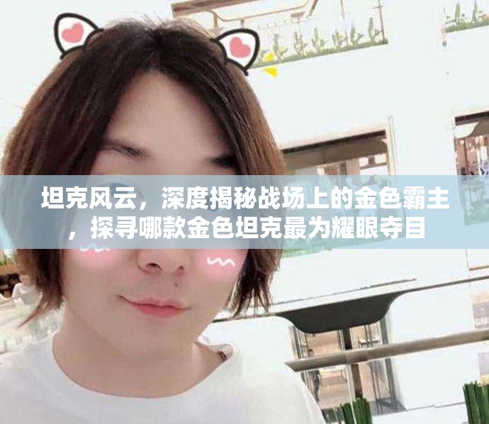 坦克风云，深度揭秘战场上的金色霸主，探寻哪款金色坦克最为耀眼夺目