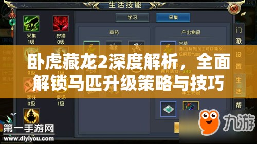 卧虎藏龙2深度解析，全面解锁马匹升级策略与技巧攻略