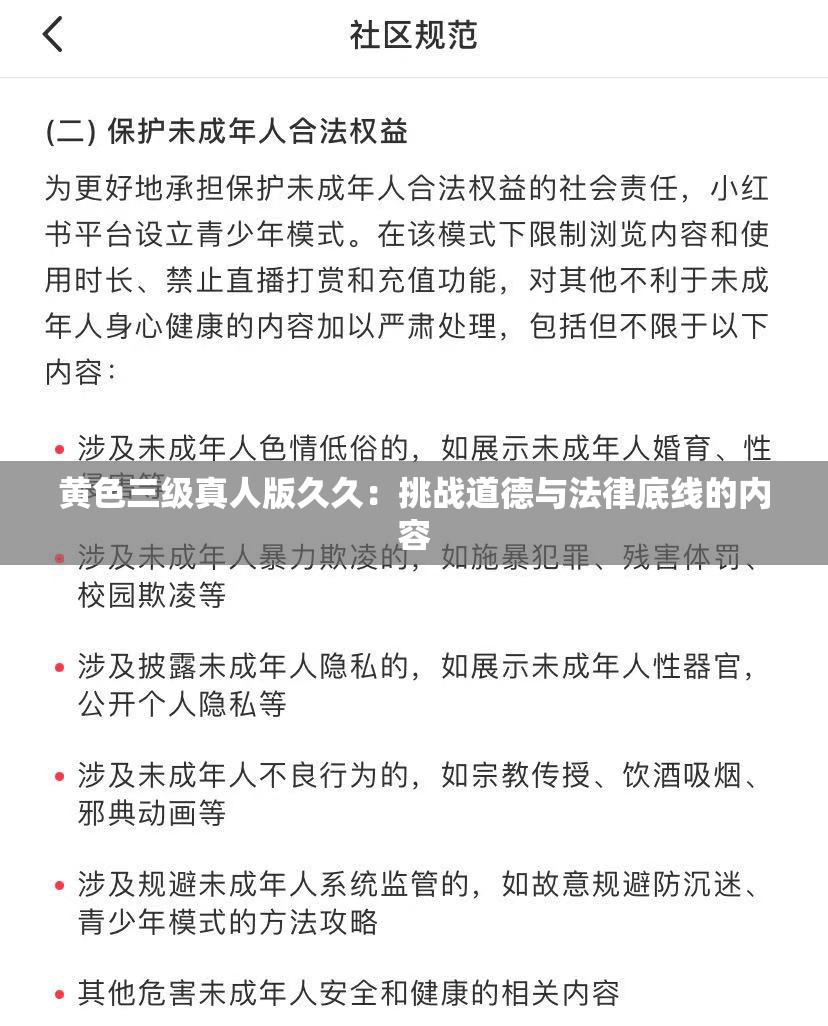 黄色三级真人版久久：挑战道德与法律底线的内容