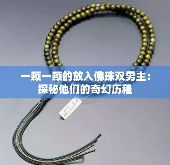 一颗一颗的放入佛珠双男主：探秘他们的奇幻历程