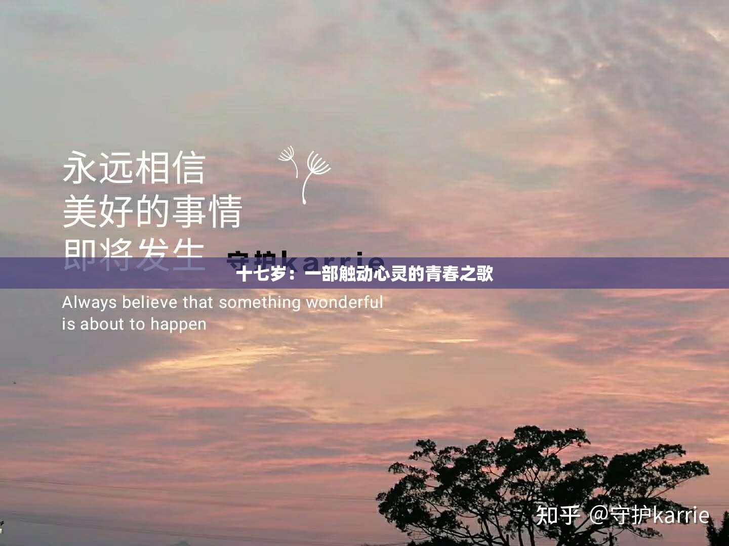 十七岁：一部触动心灵的青春之歌