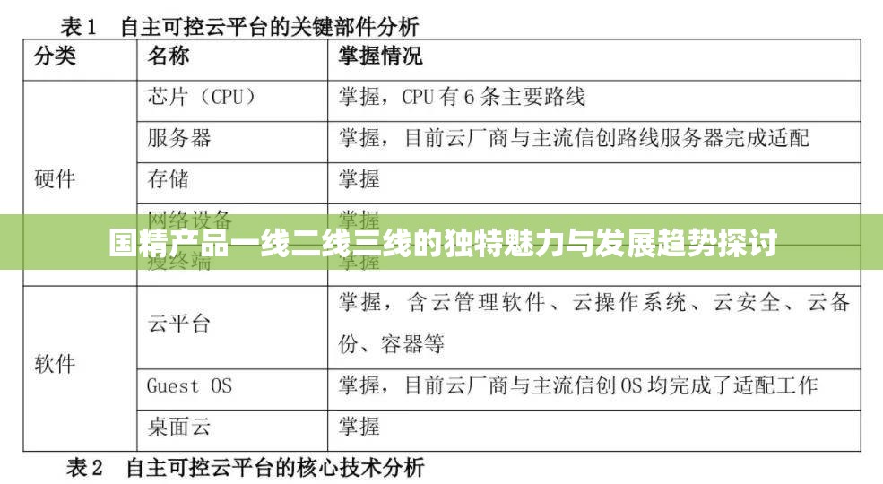 国精产品一线二线三线的独特魅力与发展趋势探讨