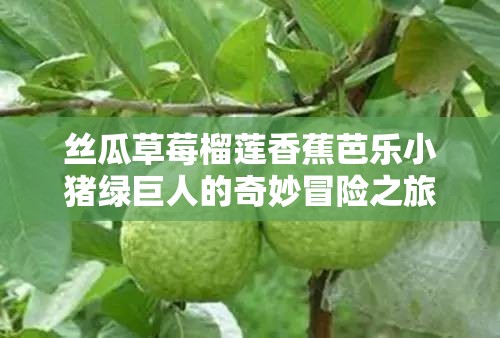 丝瓜草莓榴莲香蕉芭乐小猪绿巨人的奇妙冒险之旅