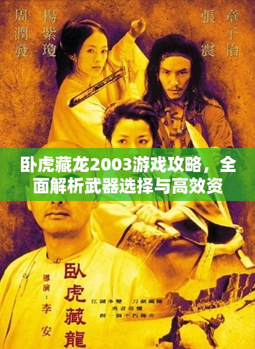 卧虎藏龙2003游戏攻略，全面解析武器选择与高效资源管理技巧