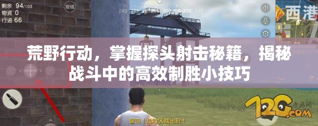 荒野行动，掌握探头射击秘籍，揭秘战斗中的高效制胜小技巧