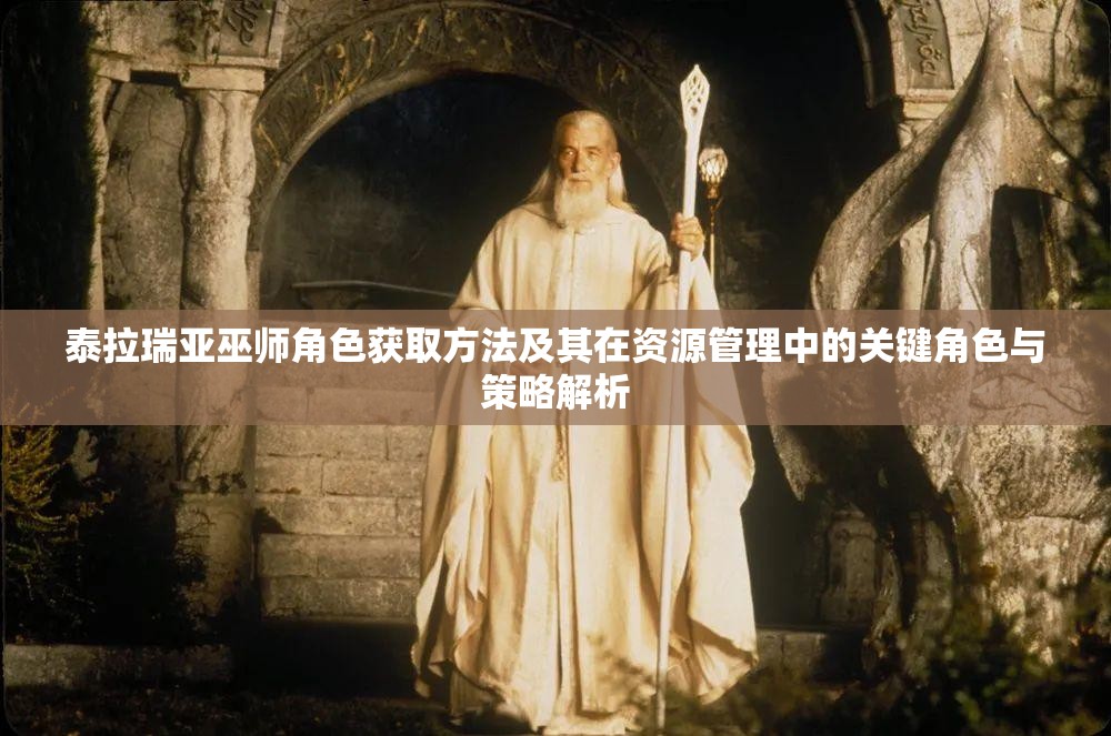 泰拉瑞亚巫师角色获取方法及其在资源管理中的关键角色与策略解析