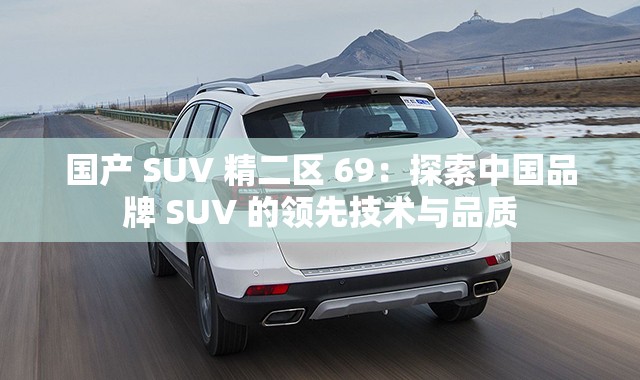 国产 SUV 精二区 69：探索中国品牌 SUV 的领先技术与品质