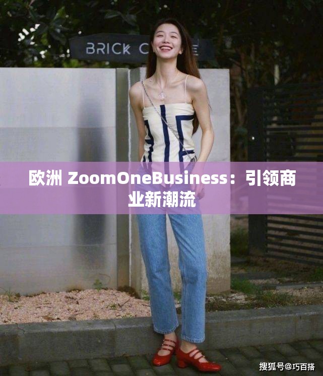 欧洲 ZoomOneBusiness：引领商业新潮流