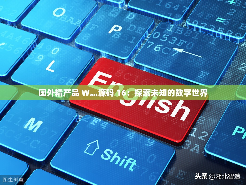 国外精产品 W灬源码 16：探索未知的数字世界