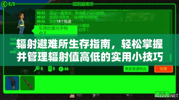 辐射避难所生存指南，轻松掌握并管理辐射值高低的实用小技巧