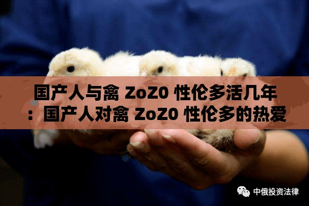 国产人与禽 ZoZ0 性伦多活几年：国产人对禽 ZoZ0 性伦多的热爱与坚持