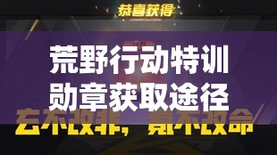 荒野行动特训勋章获取途径及高效资源管理利用策略