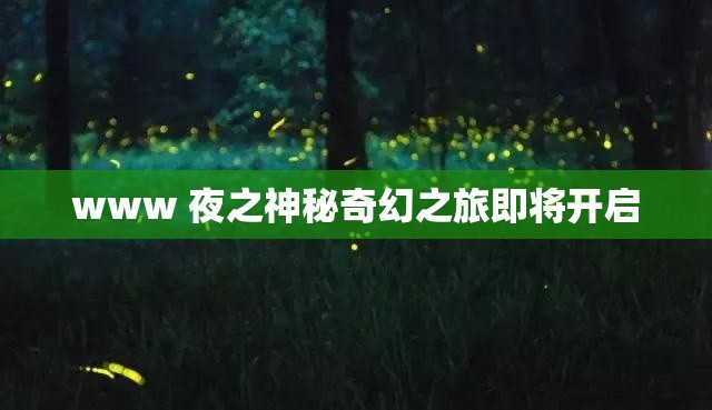 www 夜之神秘奇幻之旅即将开启