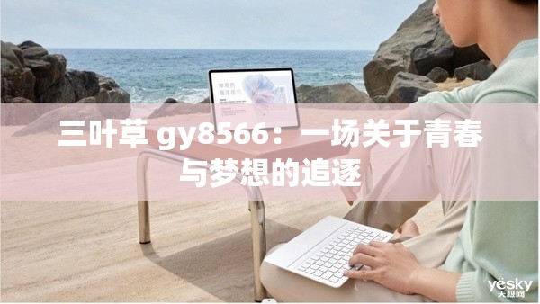 三叶草 gy8566：一场关于青春与梦想的追逐