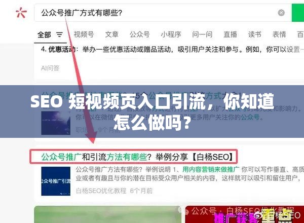 SEO 短视频页入口引流，你知道怎么做吗？