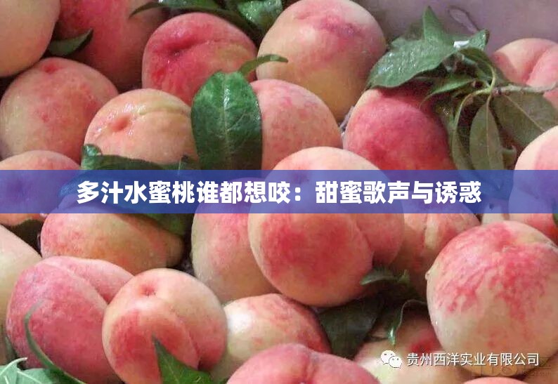 多汁水蜜桃谁都想咬：甜蜜歌声与诱惑