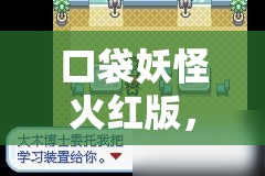 口袋妖怪火红版，深度解析暴鲤龙必备技能与高效资源管理策略