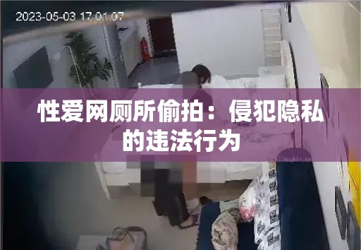 性爱网厕所偷拍：侵犯隐私的违法行为