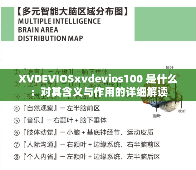 XVDEVIOSxvdevios100 是什么：对其含义与作用的详细解读