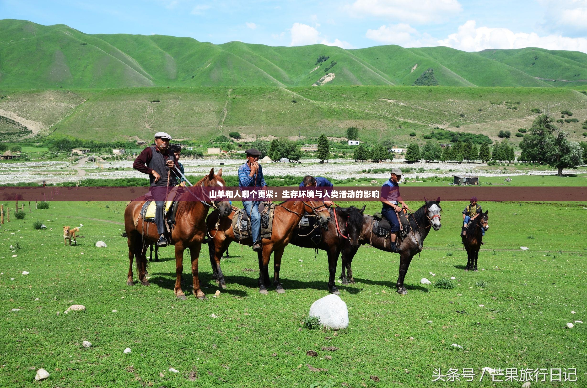 山羊和人哪个更紧：生存环境与人类活动的影响