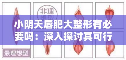 小阴天唇肥大整形有必要吗：深入探讨其可行性与影响因素