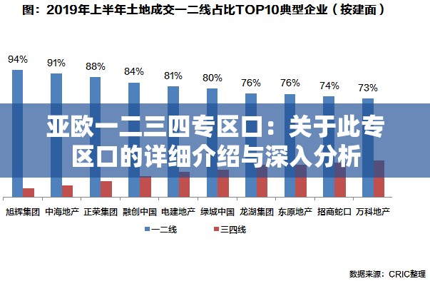 亚欧一二三四专区口：关于此专区口的详细介绍与深入分析