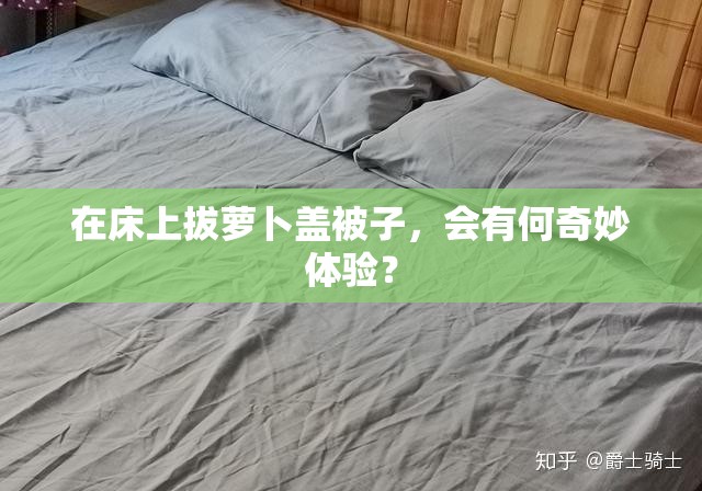 在床上拔萝卜盖被子，会有何奇妙体验？