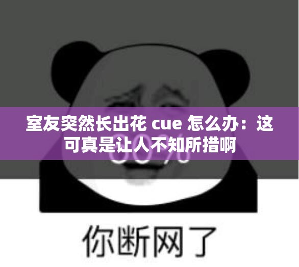 室友突然长出花 cue 怎么办：这可真是让人不知所措啊