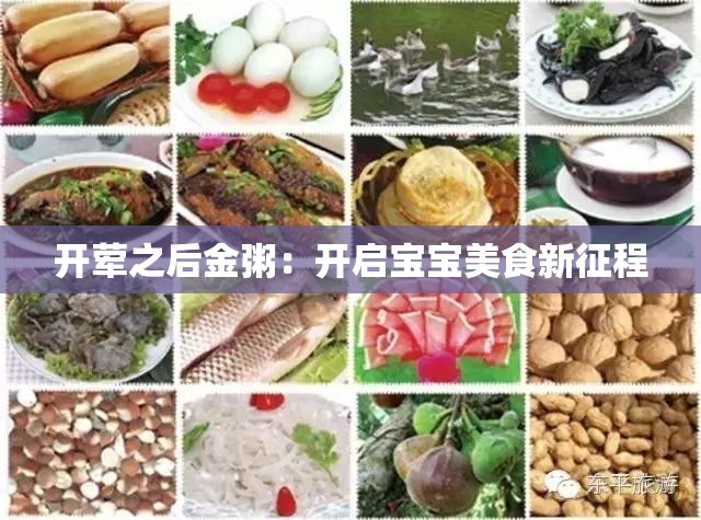 开荤之后金粥：开启宝宝美食新征程