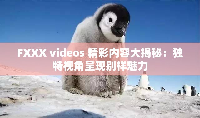 FXXX videos 精彩内容大揭秘：独特视角呈现别样魅力