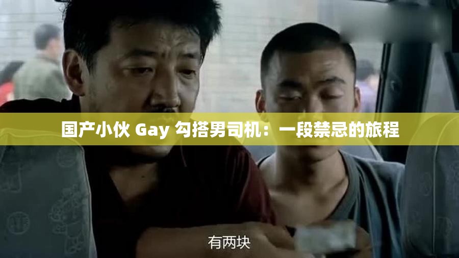 国产小伙 Gay 勾搭男司机：一段禁忌的旅程