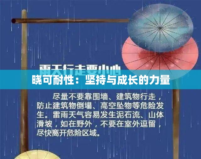 晓可耐性：坚持与成长的力量