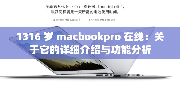 1316 岁 macbookpro 在线：关于它的详细介绍与功能分析