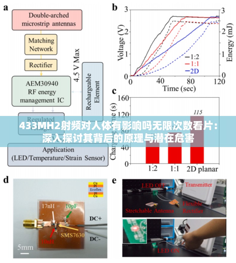 433MH2射频对人体有影响吗无限次数看片：深入探讨其背后的原理与潜在危害