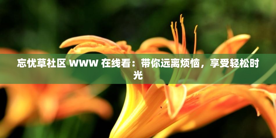 忘忧草社区 WWW 在线看：带你远离烦恼，享受轻松时光