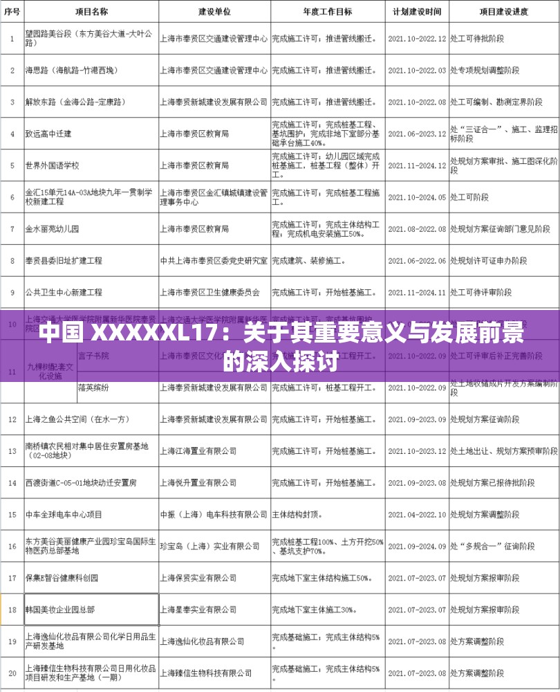 中国 XXXXXL17：关于其重要意义与发展前景的深入探讨